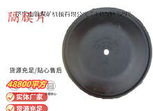 點擊查看詳細(xì)信息<br>標(biāo)題：氣動隔膜泵配件-隔膜片 閱讀次數(shù)：311