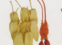 點擊查看詳細(xì)信息<br>標(biāo)題：取氣樣球膽 閱讀次數(shù)：265